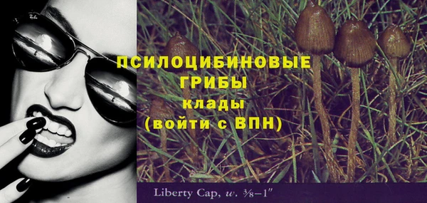 амфетамин Богородицк