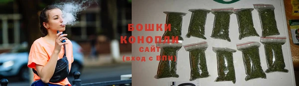 бошки Бородино