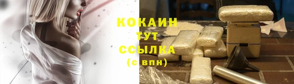 скорость Богданович